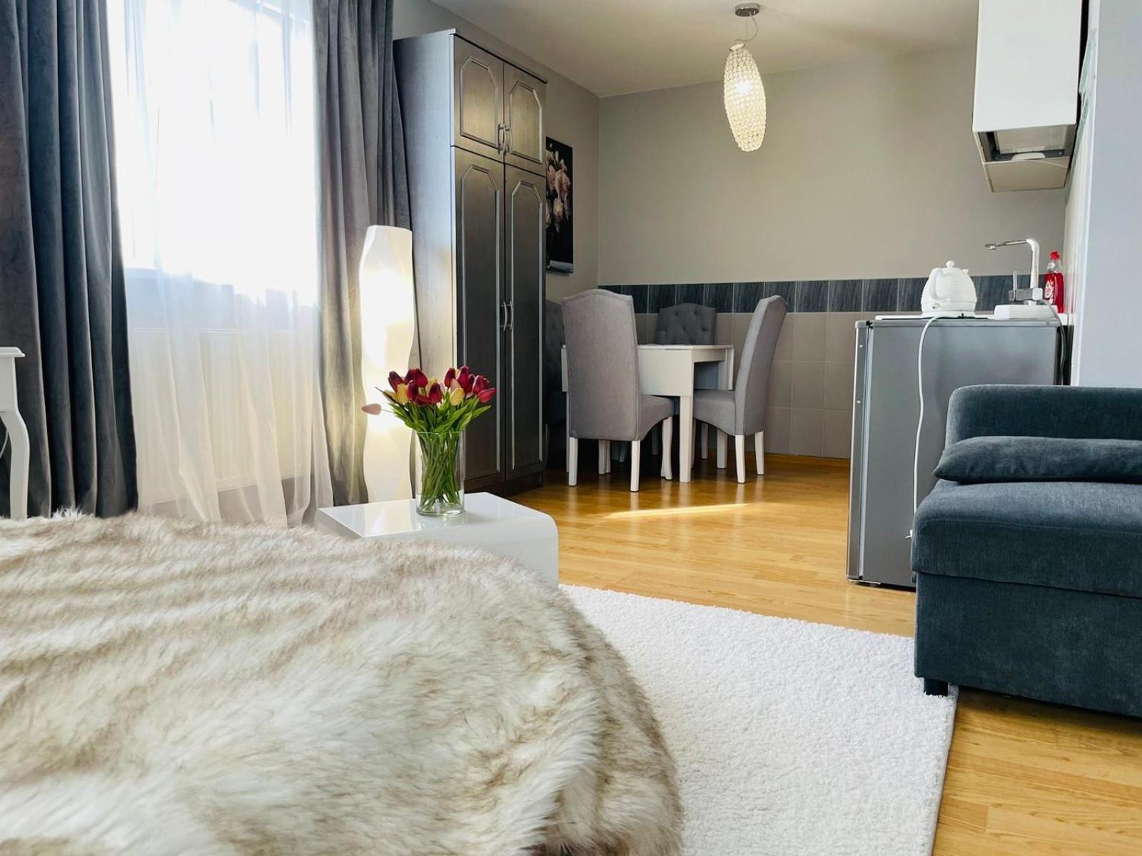 Vila"Anna" Apartment Palanga Luaran gambar
